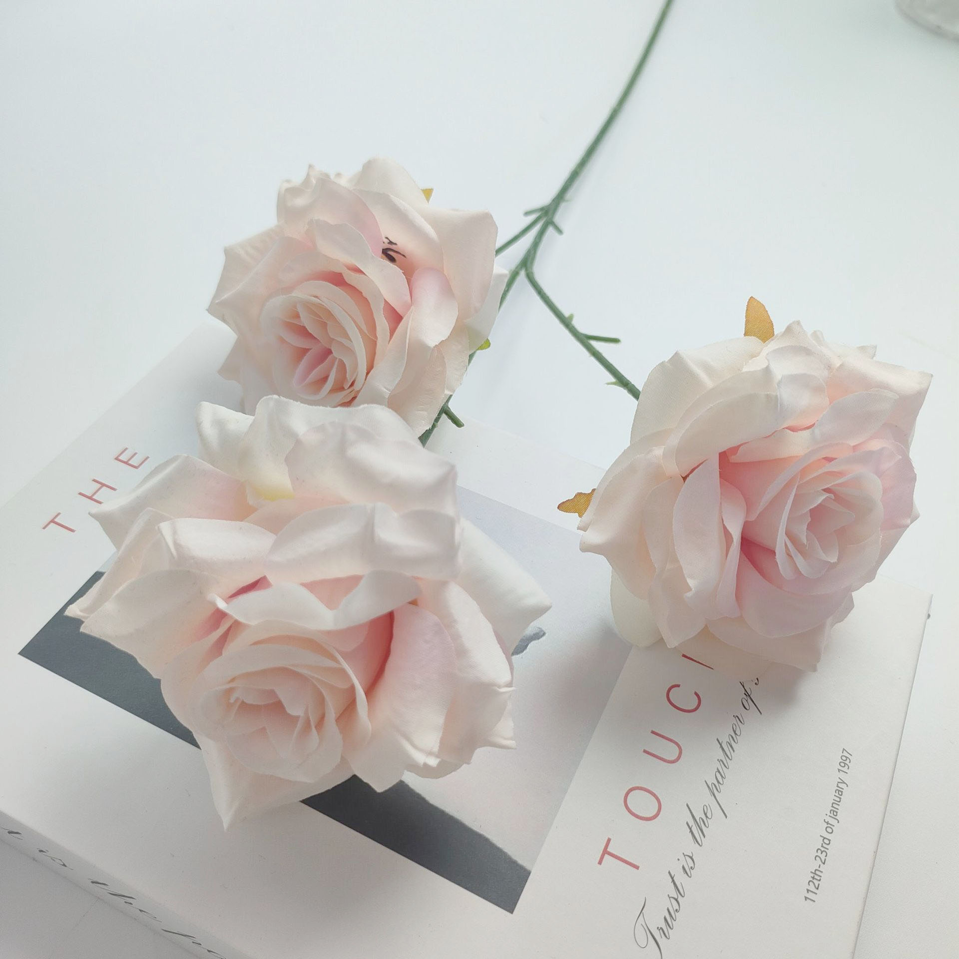 Blanc + rose
