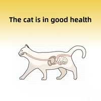 Biscuits de viande crue lyophilisée Mr Tom Bœuf Saumon pour chats et chiens Adulte/Chaton 250g – Alimentation complète en gros
