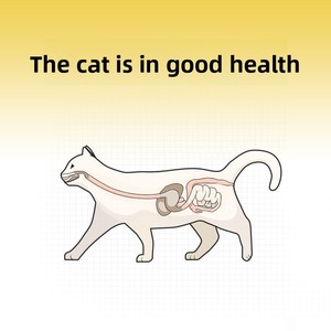 Golosinas <span class=keywords><strong>Mr</strong></span>. Tom de Carne Cruda Liofilizada, Sabor Res y Salmón, para Perros y Gatos Adultos/Gatitos, Paquete de 250g, Alimento Completo, Venta al Por Mayor - Product Image 4