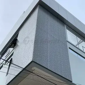 Kim Loại/Nhôm Màn Hình Tường/Bên Ngoài Màn Hình Hoàn Chỉnh Đấm Tấm/Panels/Sheets/Rainscreen Hệ Thống Của Kim Loại Tường Ốp