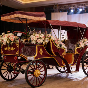 Chariot à chevaux grande capacité pour sorties familiales, pique-niques, solution de voyage confortable et sûre - Product Image 1