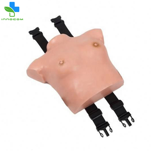 Modello avanzato di esame del seno femminile in PVC manichino anatomico <span class=keywords><strong>scienze</strong></span> mediche di <span class=keywords><strong>formazione</strong></span> scuole mediche altre scuole educative - Product Image 3