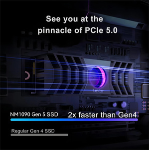 Оригинальный твердотельный накопитель NM1090 M.2 PCIe 5.0 12000 МБ/с 3D TLC NAND с динамическим кэшем и охлаждением, внутренний SSD 2 ТБ для ПК и PS5, M.2 SSD 2 ТБ - Product Image 6