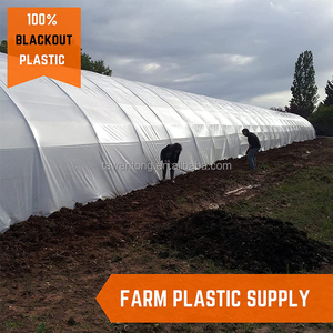 50 films <span class=keywords><strong>de</strong></span> paillette en plastique argenté <span class=keywords><strong>pour</strong></span> agriculture, bâche <span class=keywords><strong>de</strong></span> jardinage, <span class=keywords><strong>de</strong></span> pommes <span class=keywords><strong>de</strong></span> terre, <span class=keywords><strong>tomates</strong></span>, 200 m, couverture <span class=keywords><strong>de</strong></span> sol, hygiène - Product Image 2