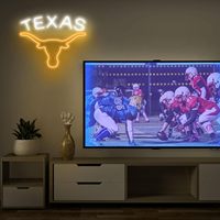 Enseigne néon LED Texas Longhorn, alimentée par USB, décoration murale, luminosité réglable, éclairage paysager, acrylique IP65