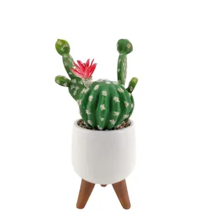 Hot Sale Small Cactus Pot Succulent Plants Tree Desert Theme Greenery Artificial Bonsai for Home Decor