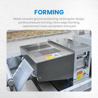 Machine d'emballage sous blister haute vitesse (15-25 fois/min) ALU-ALU pour comprimés, chewing-gums et beurre liquide électronique