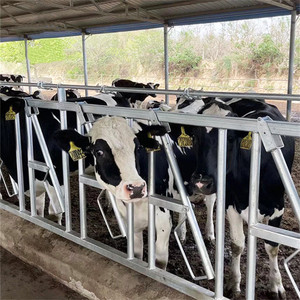 Gia súc và bò hàng rào mạ kẽm gia súc headlock thiết bị bền cổ bò khóa 60 mạ kẽm thiết bị ống thép cho các trang trại bò - Product Image 1