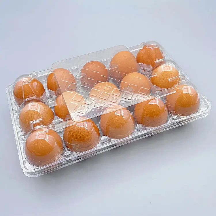 Vassoio per uova in plastica per animali domestici riciclabile personalizzato per uso alimentare 15 conteggi