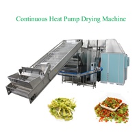 Automatische 500kg/uur machine voor het wassen, snijden en meerdere lagen drogen met warme lucht van verse fruit- en groentechips voor voedingsmiddelenindustrie