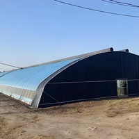 Serre tunnel à simple portée de petite taille à faible coût avec couverture en PE protégée contre les UV, 12 fenêtres et moustiquaires enroulables pour la culture des champignons