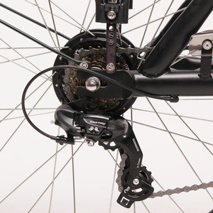 TXED Venta caliente 7 velocidades 36V 13AH batería de litio Bakfiets 3 ruedas bicicleta de carga uso familiar triciclos de carga eléctrica - Product Image 4