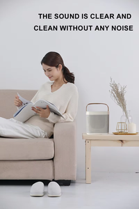 Haut-parleur de fête portable de haute qualité Audio Bluetooth sans fil pour un usage domestique Source de charge pour le karaoké <span class=keywords><strong>en</strong></span> direct <span class=keywords><strong>en</strong></span> plein air - Product Image 2