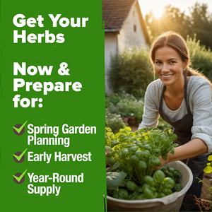 Haute germination sans OGM intérieur héritage culinaire herbe <span class=keywords><strong>basilic</strong></span> pour hydroponique extérieur jardin Durable Pots de fleurs jardinières pour - Product Image 1