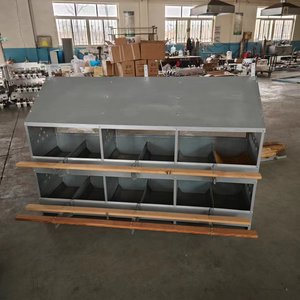 Caja nido <span class=keywords><strong>de</strong></span> gallinero <span class=keywords><strong>de</strong></span> 12 habitaciones, caja <span class=keywords><strong>de</strong></span> nido <span class=keywords><strong>de</strong></span> pollo Manual <span class=keywords><strong>de</strong></span> dos niveles para poner <span class=keywords><strong>huevos</strong></span>, <span class=keywords><strong>precio</strong></span> al por mayor - Product Image 2