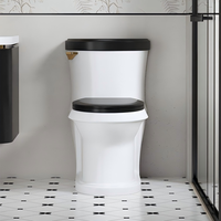 WC monobloc de luxe en céramique à chasse siphonique, économie d'eau, pour projets résidentiels et hôteliers (vente en gros)