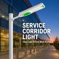 Farola Solar Integrada de 500W con Control Automático de Luz, Amplio Rango de Temperatura, para Carreteras, Áreas de Descanso, Caminos Rurales, Soporte de Ingeniería