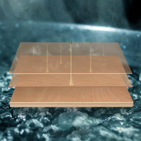 Tablero Fenólico de 18 mm para Encofrado de Construcción Marina, Recubierto con Película Negra, Ecológico, Impermeable, Clase I BS1088, Grado I