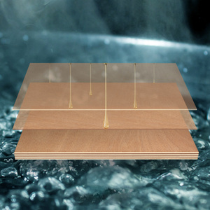 Contrachapado <span class=keywords><strong>fenólico</strong></span> de 18 mm con revestimiento de película negra para encofrados de construcción marina, precios al por mayor, madera dura para encofrados de hormigón - Product Image 6