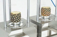 Ananas Schil-, Ontpit- en Snijmachine |   Complete apparatuur voor ananasverwerking