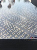 Chanta Lider Proveedor Triplay Fenolico Para Pérou