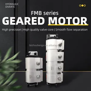 Hidrolik senkron Motor FMB-2R 3R 4R 6R 8R11/17/30 iki silindir/üç silindir/dört silindir kaldırma denge dişli yön