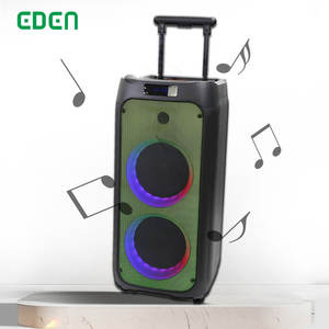 Barra de Audio para exteriores, altavoz inalámbrico TWS PRO Dual de 8 pulgadas, recargable, activo, para fiesta, Disco, BT Box, con luz de fuego - Product Image 1