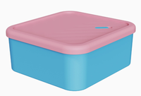 Nouveauté : Contenants de congélation en silicone personnalisables avec logo, sans BPA, qualité alimentaire platine, boîte à lunch réutilisable pour cadeaux promotionnels