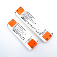 Mini conducteur de lumière de bande de LED 12V 24V DC 24W 12W transformateur d'éclairage LED étanche armoires d'alimentation à sortie unique
