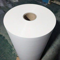 Film de plastification thermique de qualité alimentaire avec procédé de moulage par soufflage, surface souple et finition brillante, matériau PET pour utilisation en supermarché