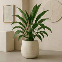 Pots de fleurs en ciment modernes et minimalistes pour la maison, le jardin et le balcon, vente chaude directe d'usine, utilisation intérieure et extérieure