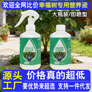 Solución Nutritiva Happiness Tree 330G en Aerosol Líquido para Plantas de Interior en Maceta - Product Image 5