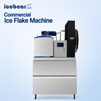 Machine à glace en flocons de neige en acier inoxydable 800 kg/jour, personnalisation rapide, usage commercial et industriel, durable, haute performance