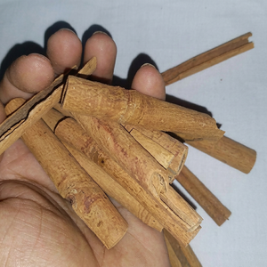 Bâtons d'épices de qualité supérieure d'Inde, entiers, naturels et séchés, pour l'exportation en gros et les marchés mondiaux des épices - Product Image 1