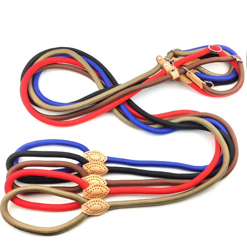 Großhandel bestückte Nylon Training Slip Seil Hunde leine und Halsband