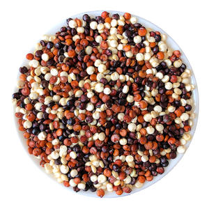 <span class=keywords><strong>Quinoa</strong></span> misto tricolore biologico e di alta qualità ad un prezzo ragionevole - Product Image 1