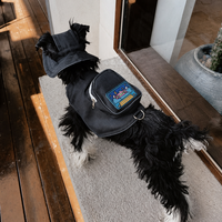 Ensemble Harnais Sac à Dos Chapeau Bob pour Chien en Lin Lavable Confortable Chapeau de Soleil pour Animaux Sac à Dos pour Chien Été Bordure Réfléchissante Équipement d'Extérieur S M