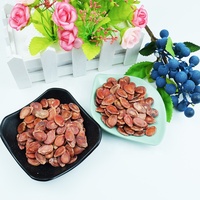 Graines de pastèque rouge séchées en vrac, 25 kg/sac PP, pour aliments et collations, qualité supérieure