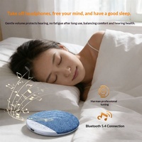 Haut-parleurs d'oreiller Bluetooth pour dormir, avec fonction anti-bruit, rechargeables, pour une maison intelligente sans fil