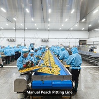 Ligne de mise en conserve automatique LWT pour la mise en conserve de pêches jaunes, avec retourneur de caisses, palettiseur et système de stérilisation alimentaire en acier inoxydable de haute qualité