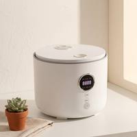 Cuisinière à riz intelligente professionnelle pour la maison, 2 L, 600 W, avec minuterie 24 heures et mesures de sécurité