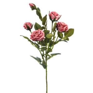 27 "DIAMANTE <span class=keywords><strong>FLORIBUNDA</strong></span> <span class=keywords><strong>ROSA</strong></span> FLOR SPRAY, 4F 1B[EF11054] - Product Image 2