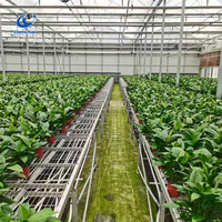 Banc de pépinière à alimentation directe du fabricant avec conception compatible automatisation, table en treillis métallique durable pour la floriculture commerciale