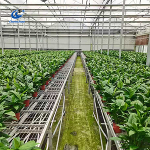Metal Mesh Mobile Seedbed,Welded Wire Mesh Seedling Bench Manufacturers Flower <strong>Planting</strong> <strong>Table</strong> - Product Image 5