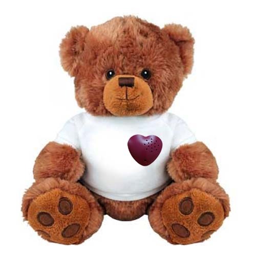 Plush Teddy Bear Voice Recorder Plush Toy Teddy Bear