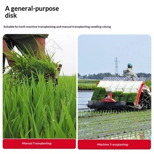 Plateau à semis compatible avec la repiqueuse de riz, plateau de pépinière en plastique haute résistance, plateau de culture du riz pour repiquage mécanique - Product Image 4