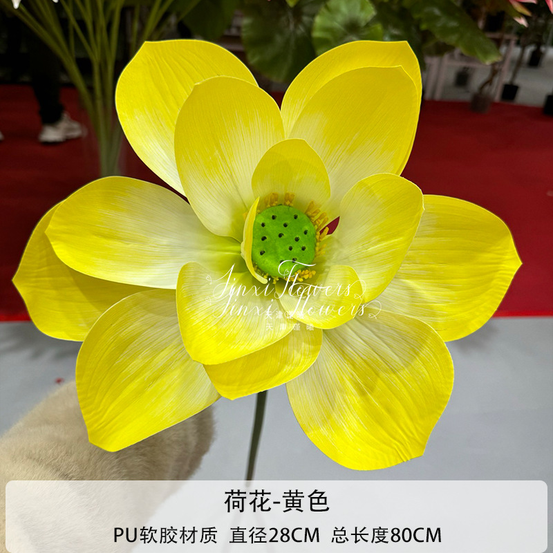 Amarillo Loto
