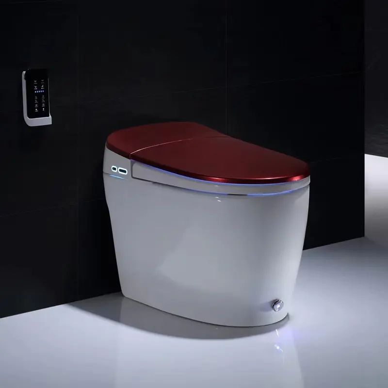 Decorazione della casa bagno di un pezzo intelligente wc intelligente wc con serbatoio di acqua