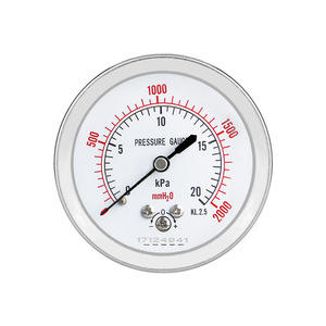 Customized diaphragm pressure <b>gauge</b> YE60Z with zero-adjustment <b>thread</b>, 1/4 axial edgeless stainless steel housing, micro - Product Image 4