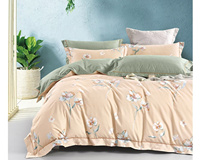 Parures de lit imprimées en microfibre douce de polyester personnalisées, ensembles de housses de couette imprimées à prix abordable